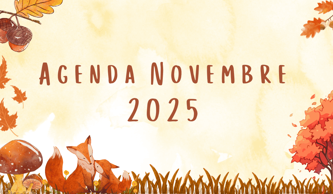 Le Fil et la Plume en novembre 2025