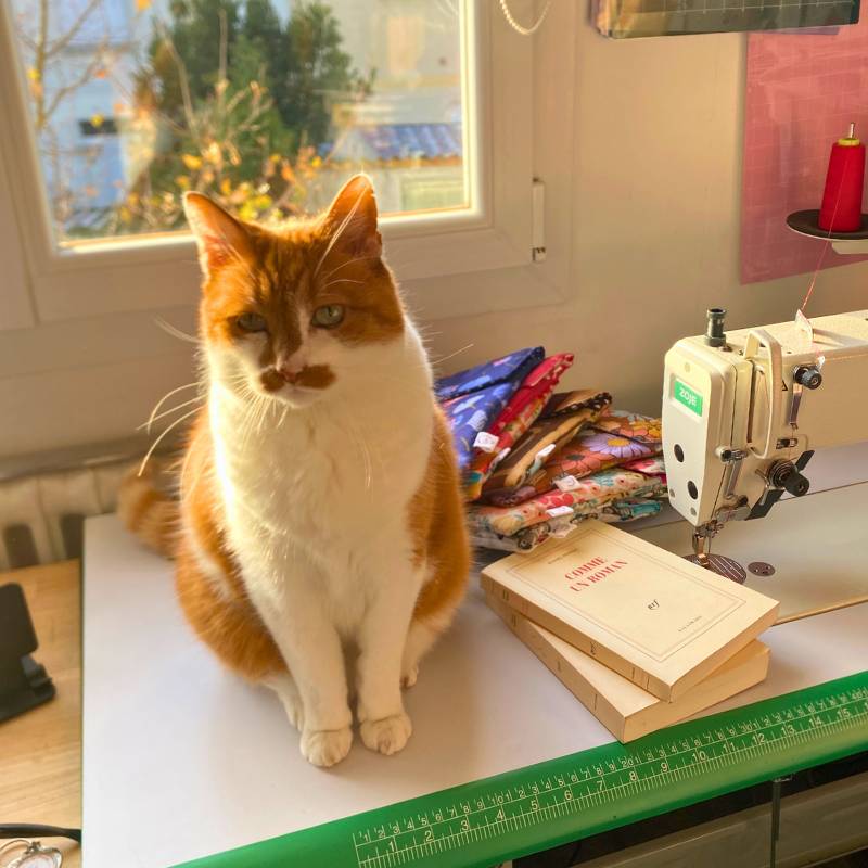 Mouss, le chat de l'atelier